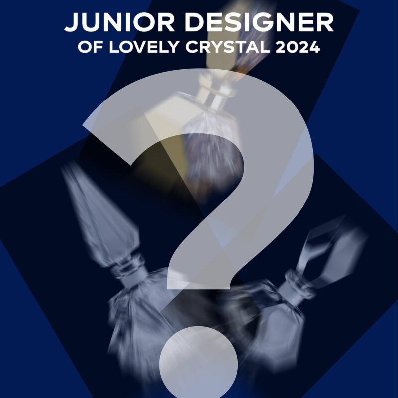 Představení projektu – Junior Designer of Lovely Crystal